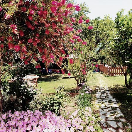 Plakias River Apartment Plakiás Exterior foto