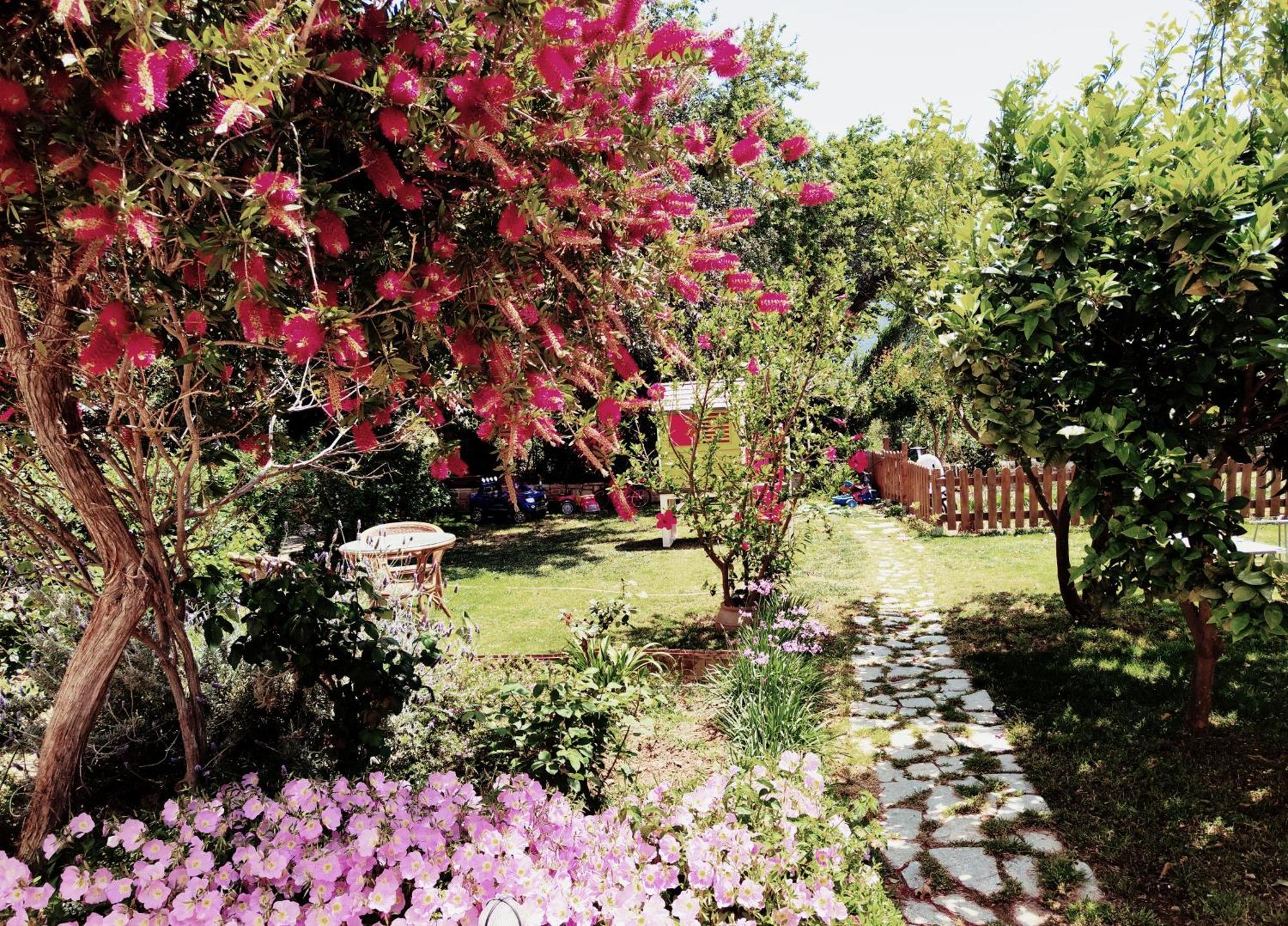 Plakias River Apartment Plakiás Exterior foto